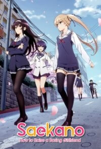 Saenai Heroine no Sodatekata Cover, Stream, TV-Serie Saenai Heroine no Sodatekata
