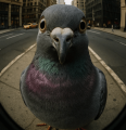 Profilbild admin, Avatar